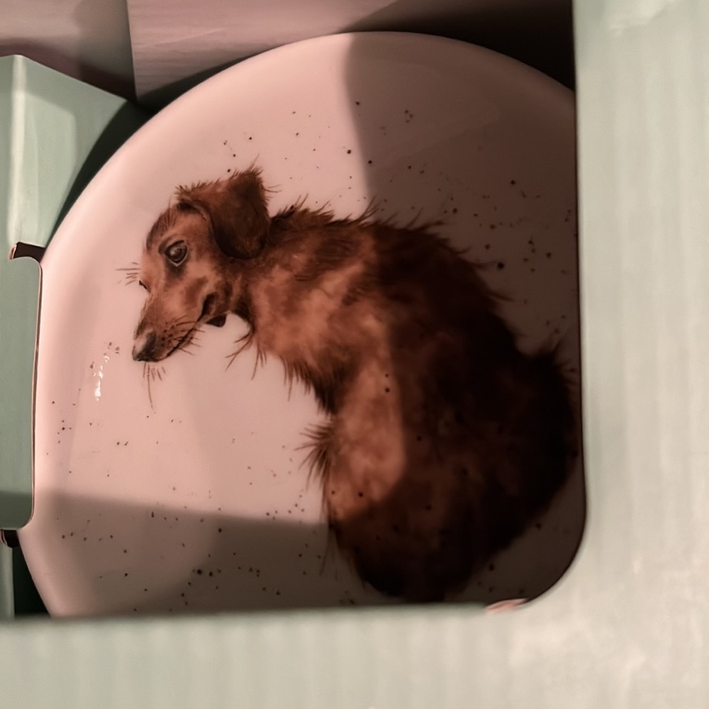 Royal Worcester Weiner dog mug and coaster set.  Adorable Daschund! - Picture 5 of 7